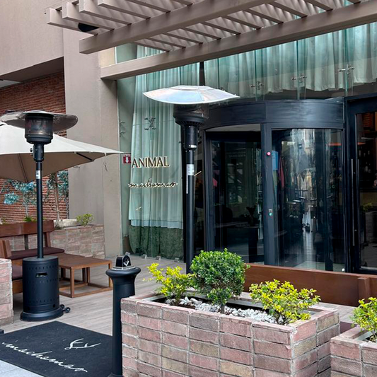 Mochomos